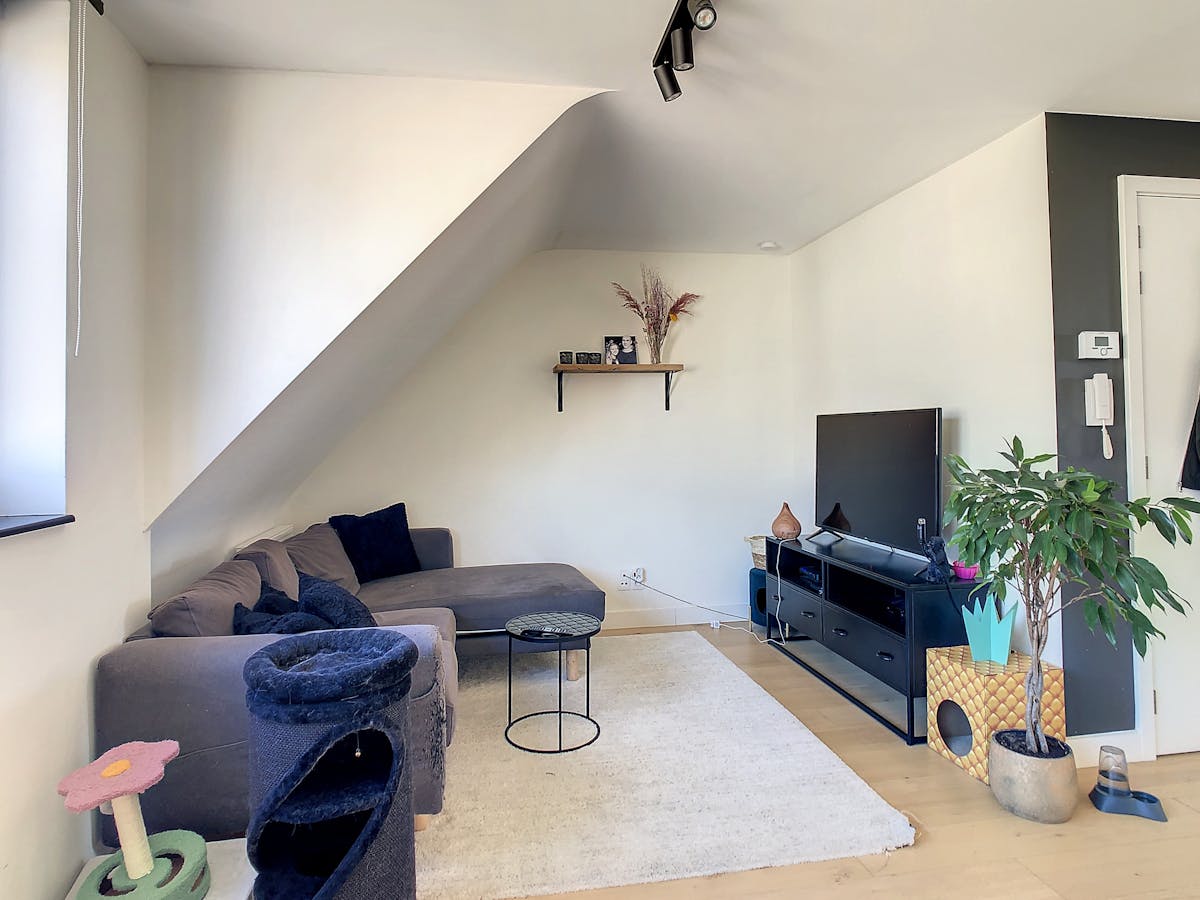 Prachtig duplex appartement te huur in centrum Kalmthout! - foto 2
