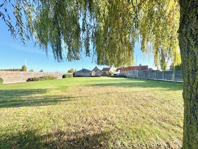 WATERHOEK WAREGEM - LANDELIJKE WONING OP 4.620 M² - foto 5