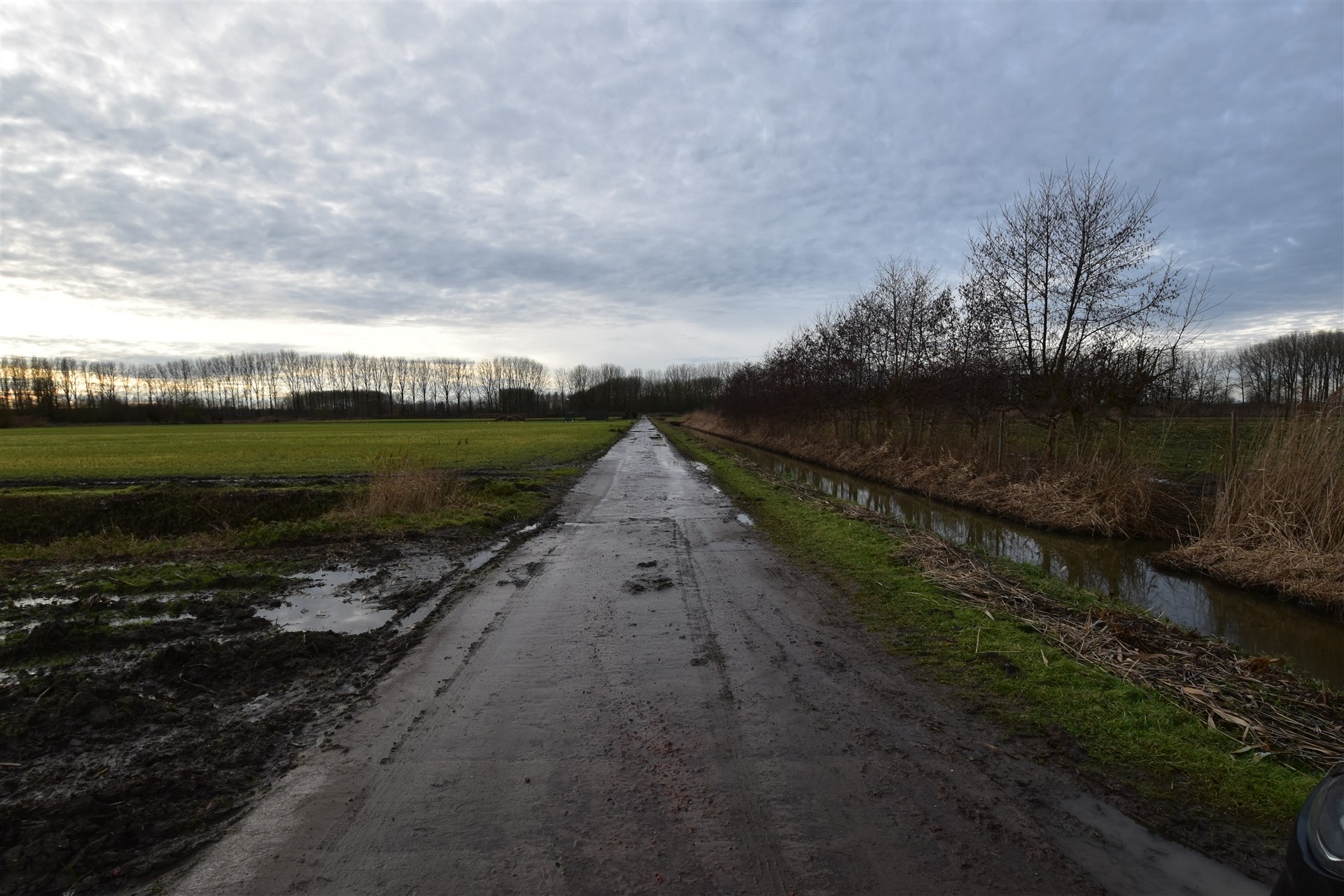 Land for sale in Moerzeke - photo 4