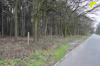 Deze mooie bosgrond is gelegen tussen de Gebroeders Naudslaan en de Wachtbekestraat te Wachtebeke. Voor meer info bel ons op 03-449 42 41 of mail ons...