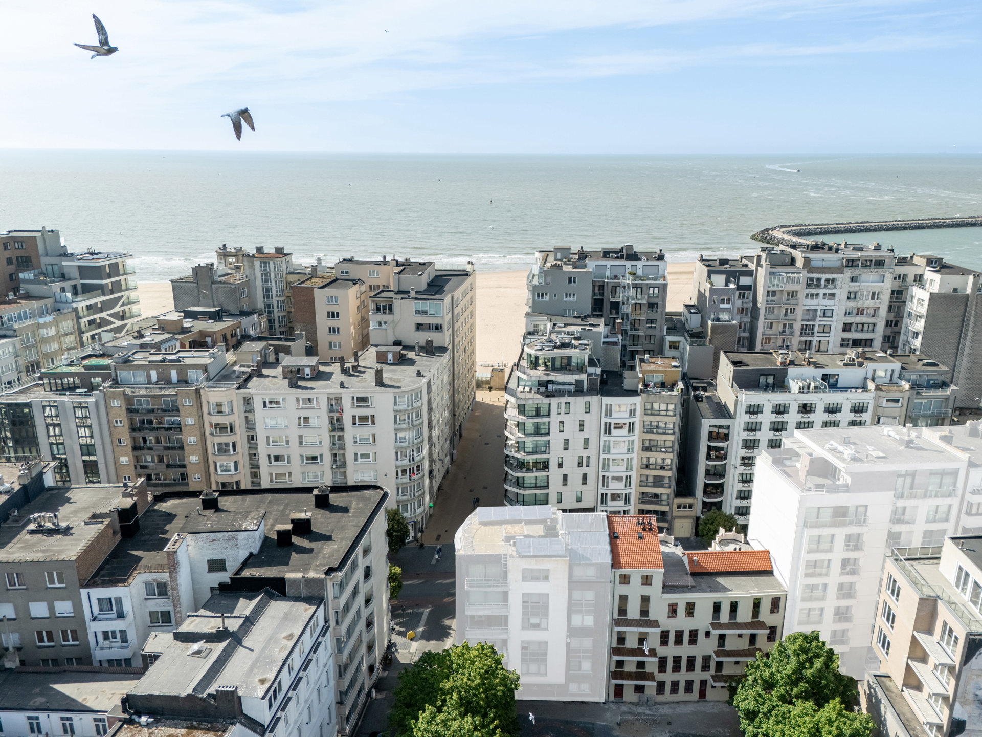 Instapklaar appartement met zonnig terras vlakbij het strand - foto 1