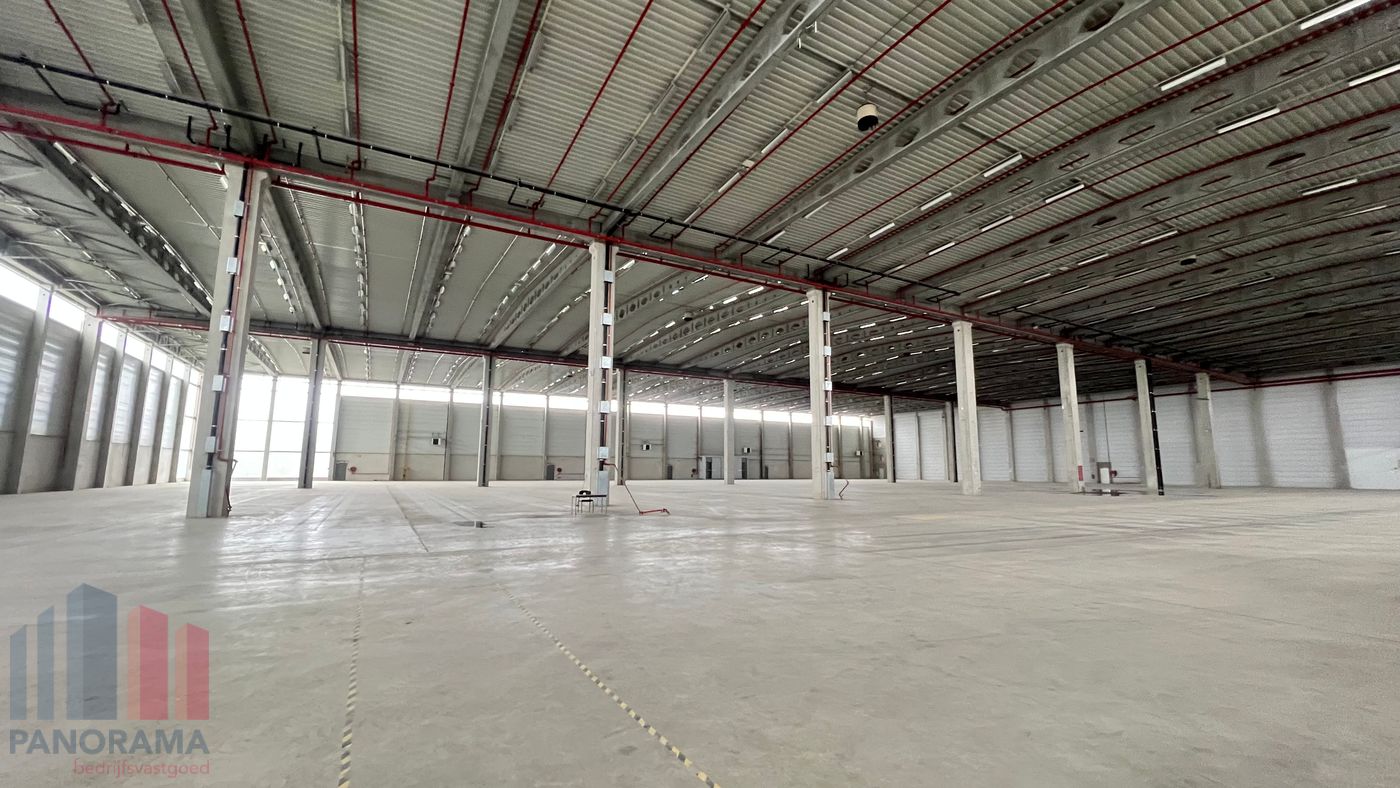 Hoogwaardig logistiek bedrijfsgebouw met 22 laadkades op gunstige ligging. - foto 5