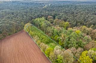 Land for sale in Kasterlee
