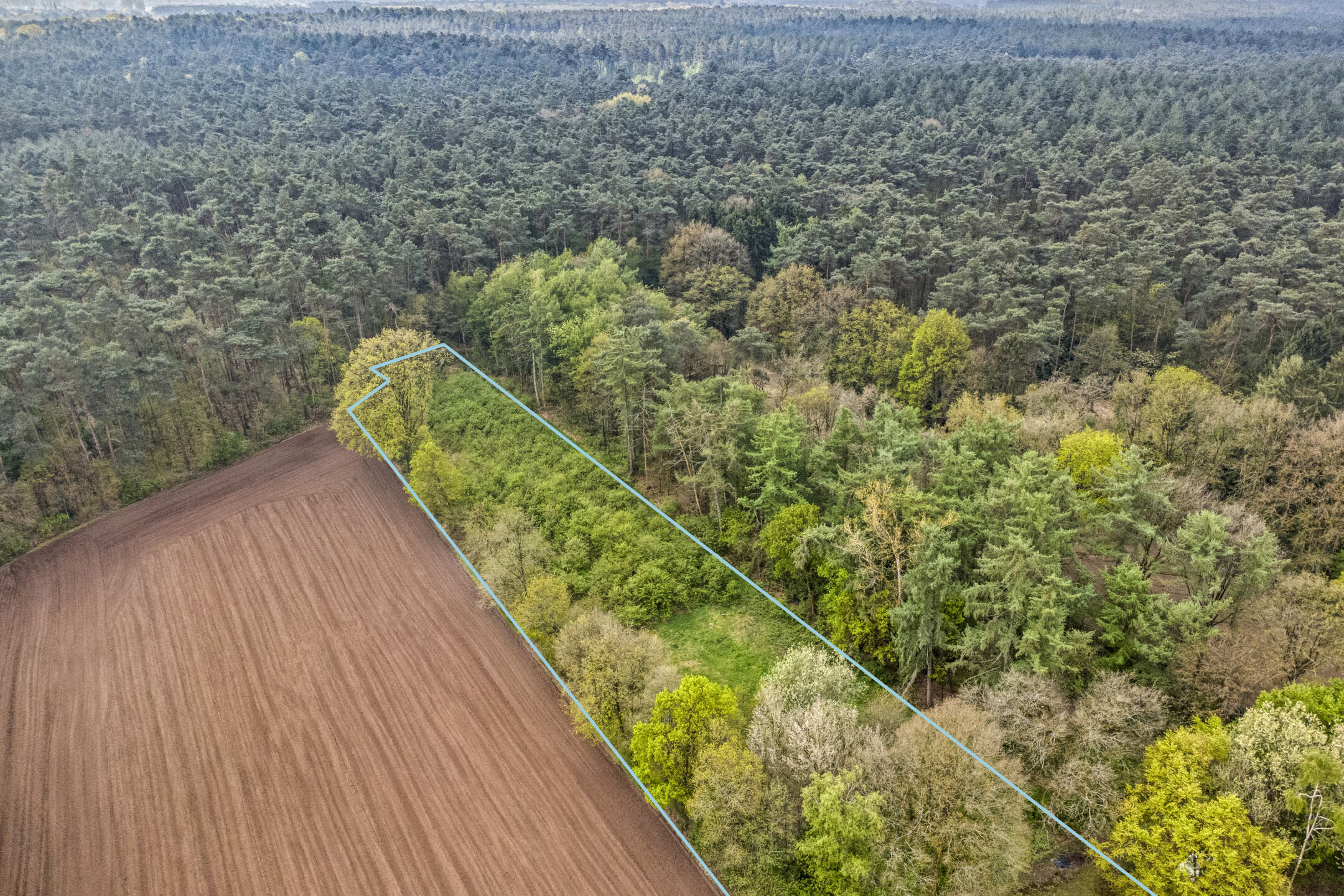 Land for sale in Kasterlee - photo 2