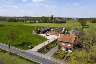 Hoeve met bedrijfswoning en varkensstallen op 1ha 33 te koop te Kalmthout<br /><br />Bedrijfswoning nog in vruchtgebruik moeder bedrijfsleider<br />3 varkensstallen, waarvan 1 omgevormd naar loods, in overige 2 stallen zitten momenteel 512 varkens<br />1 ha aanpalende grond, 1 blok<br />Verlenging van de milieuvergunning voor varkens in aanvraag voor 700 varkens tot 2030<br />bijhorende NER