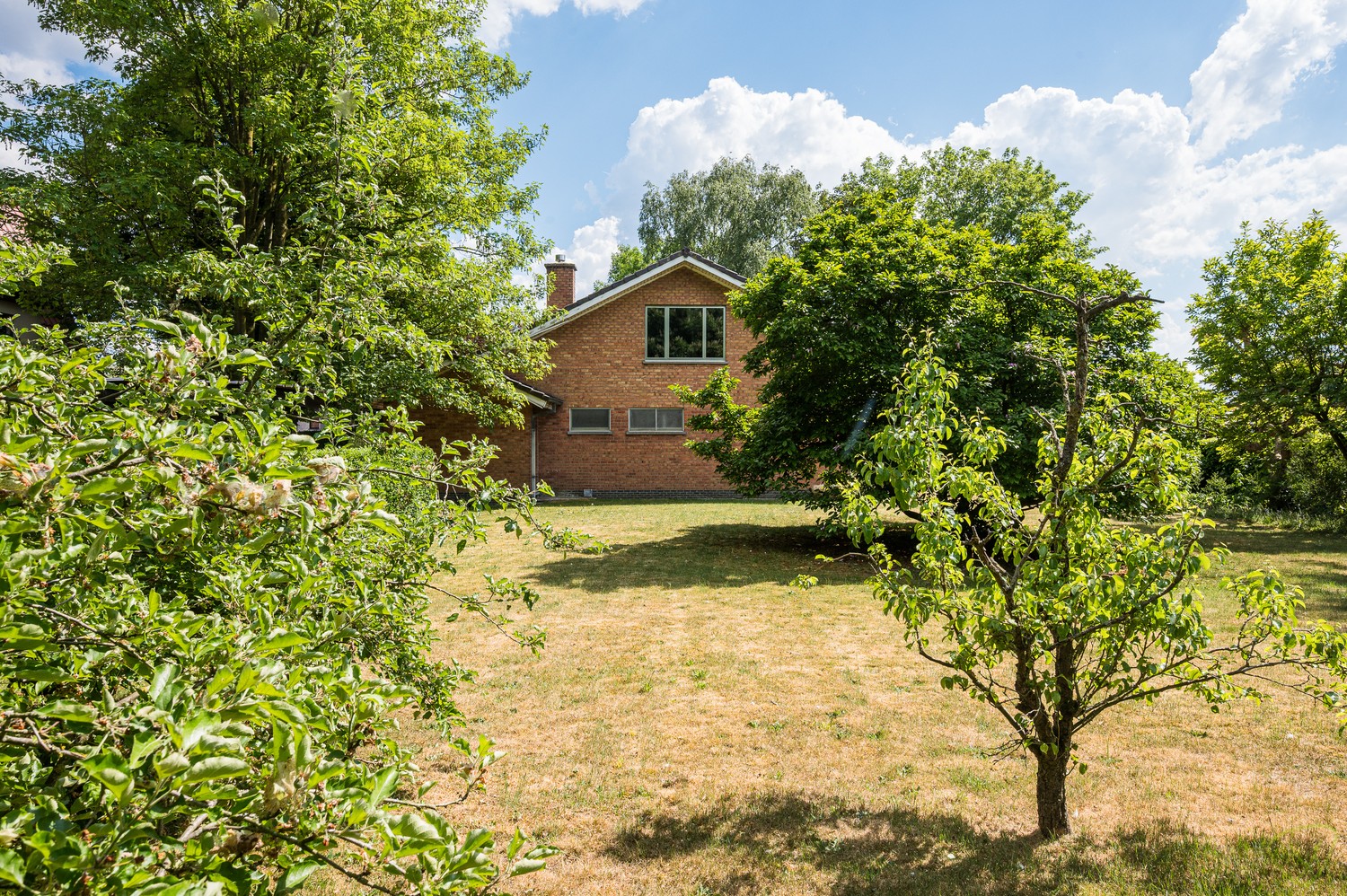 Karaktervolle woning met riante tuin in Eeklo - foto 5