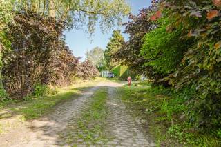 In de Lauwsestraat te Aalbeke, een charmante en groene deelgemeente van de bruisende stad Kortrijk, bieden we deze woning/bouwgrond te koop aan. De ligging is ideaal voor wie houdt van een vlotte bereikbaarheid, want u woont hier op een boogscheut van het levendige centrum van Kortrijk en omliggende gemeenten zoals Lauwe, Marke en Rollegem. Dankzij de onmiddellijke nabijheid van het knooppunt Aalbeke met de E17 en E403 bent u bovendien in een mum van tijd in grote centra zoals Rijsel, Brugge of Gent. Het perceel is een unieke kans voor wie op zoek is naar ademruimte en privacy. Gelegen in de Lauwsestraat, pal aan de ingang van het prachtige Preshoekbos, woont u hier midden in het groen met weinig omliggende buren. Op het terrein bevindt zich momenteel een bestaande woning die een zeer grondige renovatie nodig heeft, maar u kunt hier evengoed kiezen voor een volledig nieuwe start.Benieuwd naar meer? Contacteer dan Valentine Duquesne op het nummer 0493/25 32 62 voor meer informatie of om een bezoek ter plaatse te plannen.Dit pand is onderworpen aan de renovatieverplichting van de Vlaamse overheid voor residentiële gebouwen (behoudens bij sloop binnen 5 jaar na de aankoop). Consulteer voor meer informatie de website van het Vlaams Energie- en Klimaatagentschap via https://www.vlaanderen.be/een-woning-kopen/renovatieverplichting-voor-residentiele-gebouwenBestuursmaatregelen in het maatregelenregister: nee