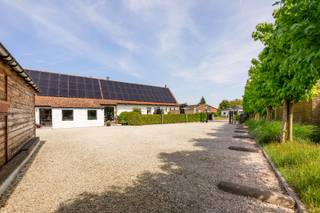 Commercial à vendre à Pittem