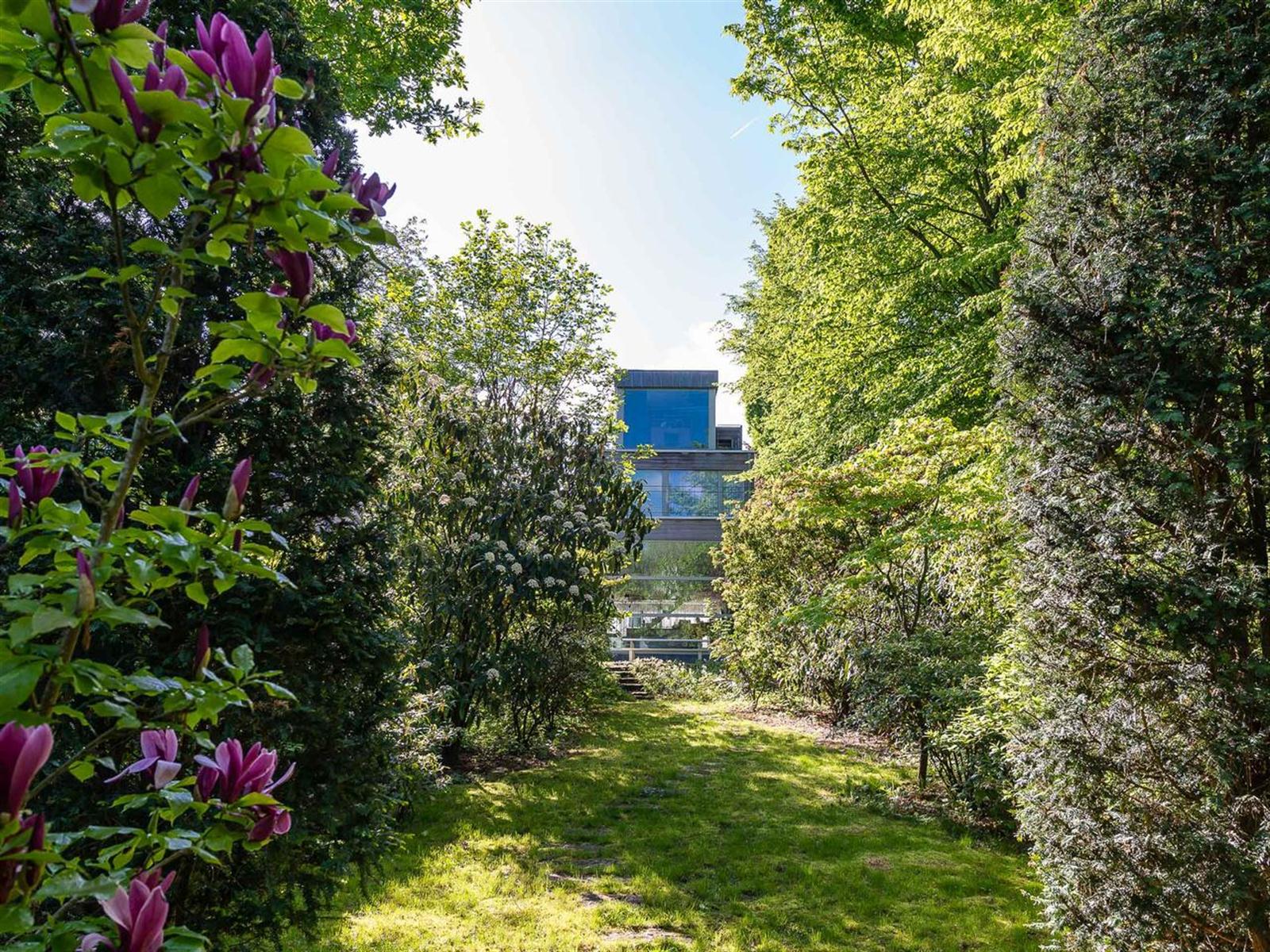 House for rent in Berchem-Sainte-Agathe with 3 bedrooms - photo 2