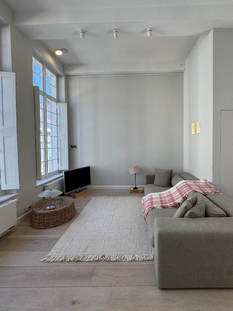 Karaktervol duplex-appartement met 2 slaapkamers en dakterras - foto 1