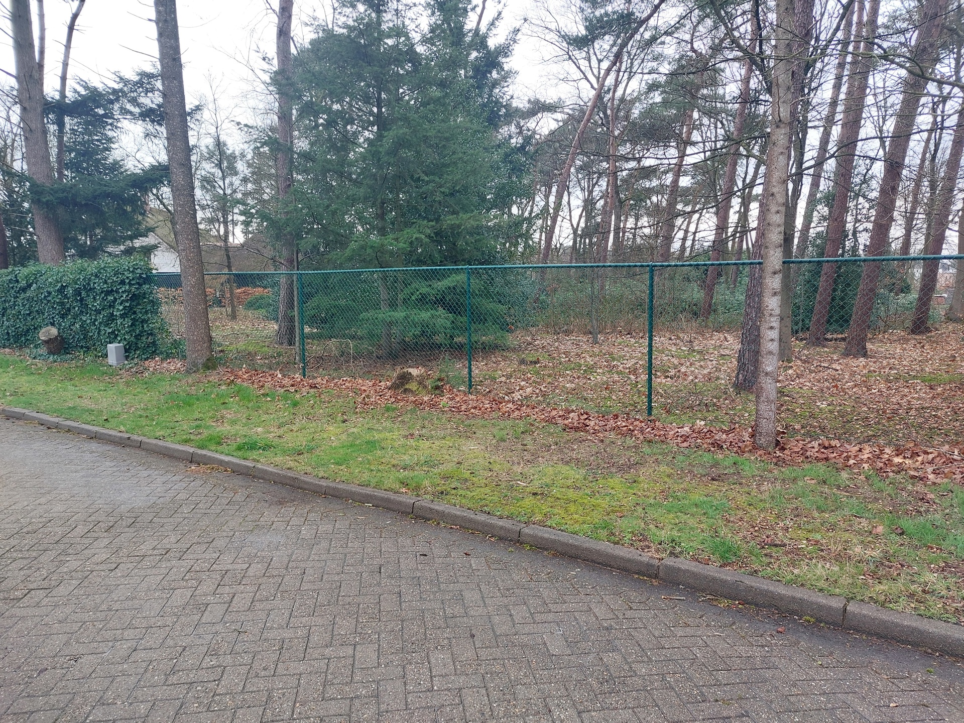 Grond te koop in Beerse - foto 1