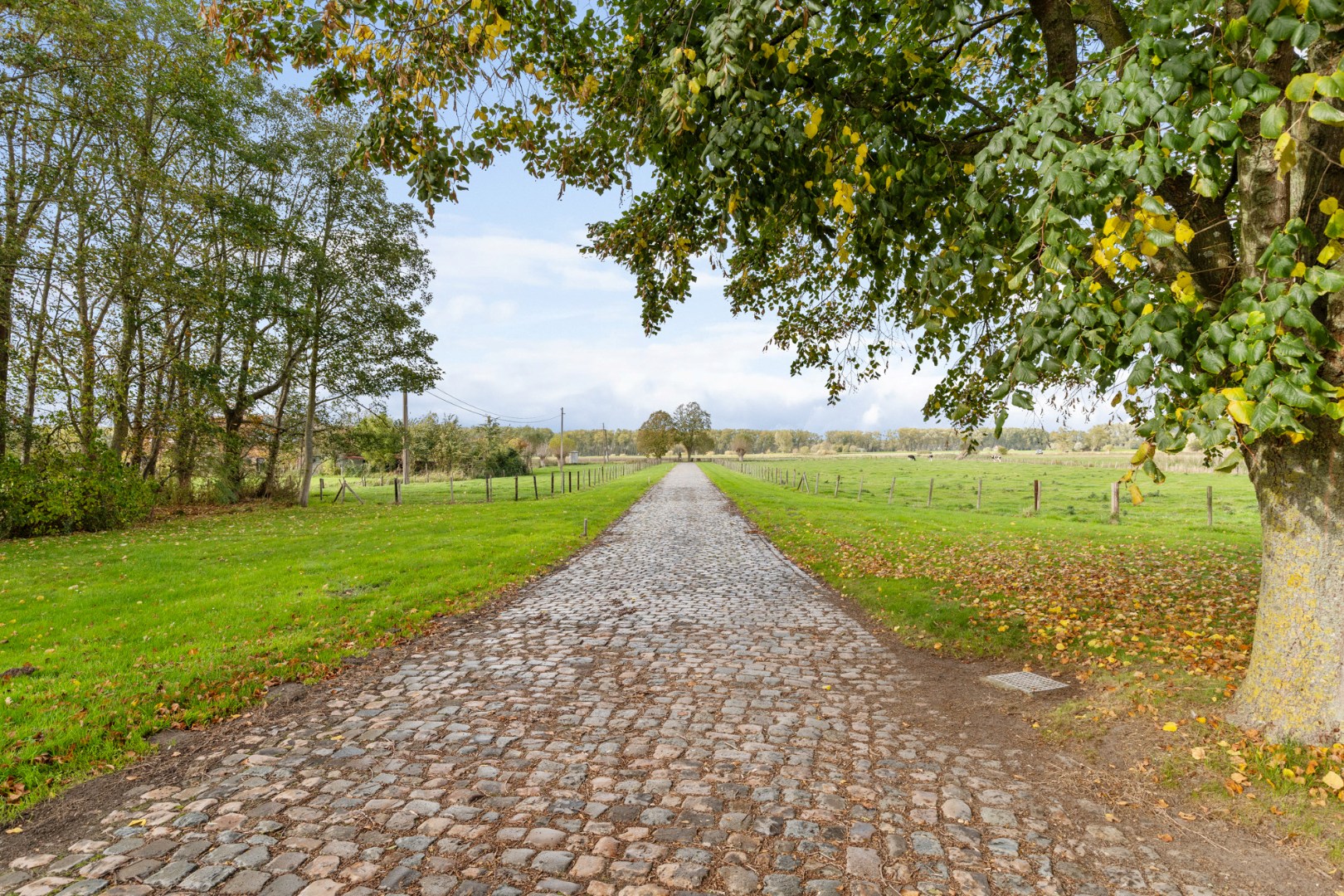 Exclusief landhuis “Reigershof” met bijgebouw en uniek domein te Damme - foto 4