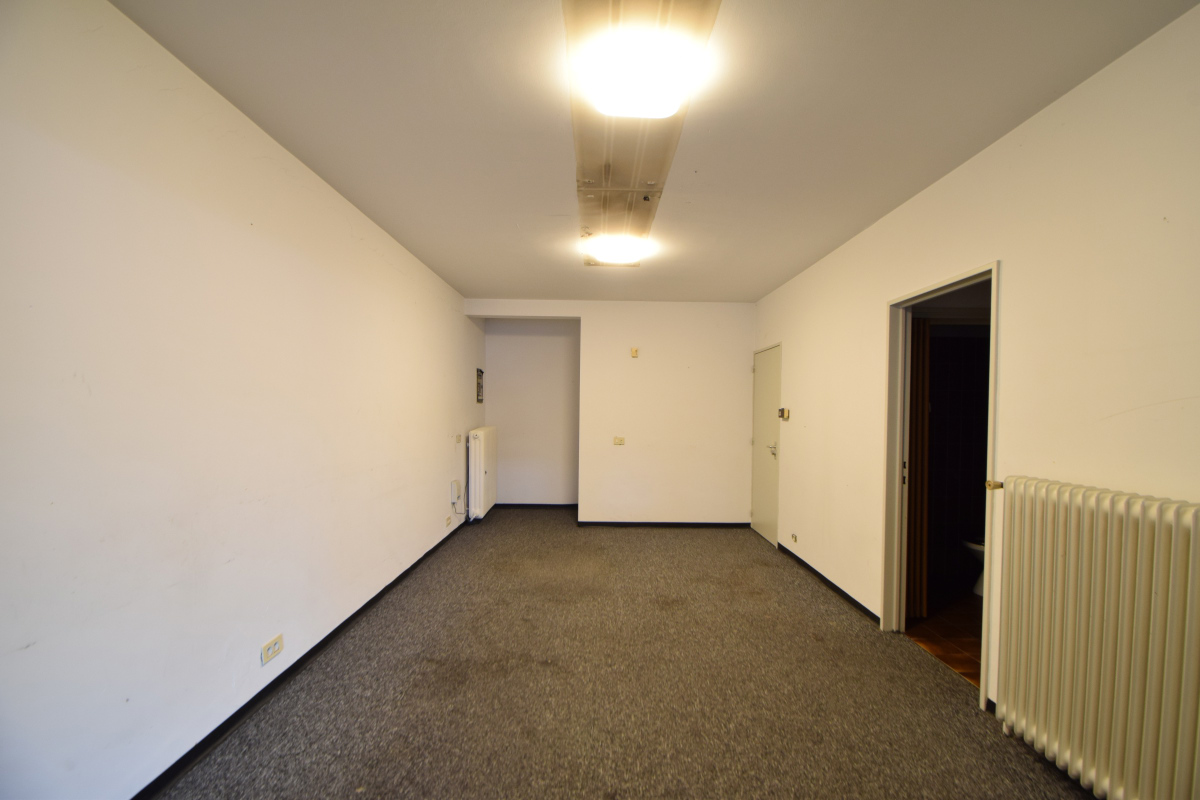 Multifunctionele ruimte (opnamestudio, kantoor, magazijn, ...) - foto 4