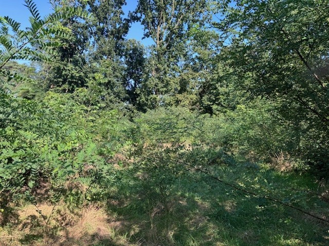 Villagrond van 17a 88ca geschikt voor open bebouwing - foto 4