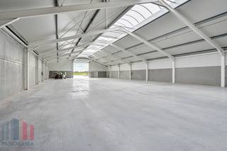 Dit <strong>hoogwaardig bedrijfsgebouw</strong> heeft een totale oppervlakte van 1.860 m² waarvan 265 m² kantoren en sociale ruimte. De site is vlot bereikbaar dankzij de centrale ligging in Wichelen, met directe aansluiting op de N416. Via deze weg bereikt u in enkele minuten de N41, die zorgt voor een uitstekende verbinding richting de E40 en de E17. Ook Dendermonde, Aalst en Lokeren bevinden zich op korte rijafstand. <br /><br />De loods is uitgerust met 2<strong> sectionale poorten</strong>, lichtstraten en een duurzame polybetonvloer. Daarnaast worden ook verlichting en elektriciteit volledig voorzien in de loods. De kantoren worden <strong>instapklaar </strong>opgeleverd en beschikt over sanitaire voorziening. Bovendien wordt het geheel gebouwd volgens <strong>brandklasse C</strong>, waardoor het pand een uitstekende basis biedt voor diverse bedrijfsactiviteiten.<br /><br />Tevens zijn technische<strong> aanpassingen bespreekbaar</strong>, zoals het voorzien van rolbruggen. Ook zijn er <strong>oplaadpunten </strong>aanwezig op de parking. <strong>Onmiddellijk beschikbaar!</strong><br /><br />Contacteer PANORAMA B2B voor bijkomende informatie, plannen of een vrijblijvend plaatsbezoek via <strong>0477 06 30 30.</strong>