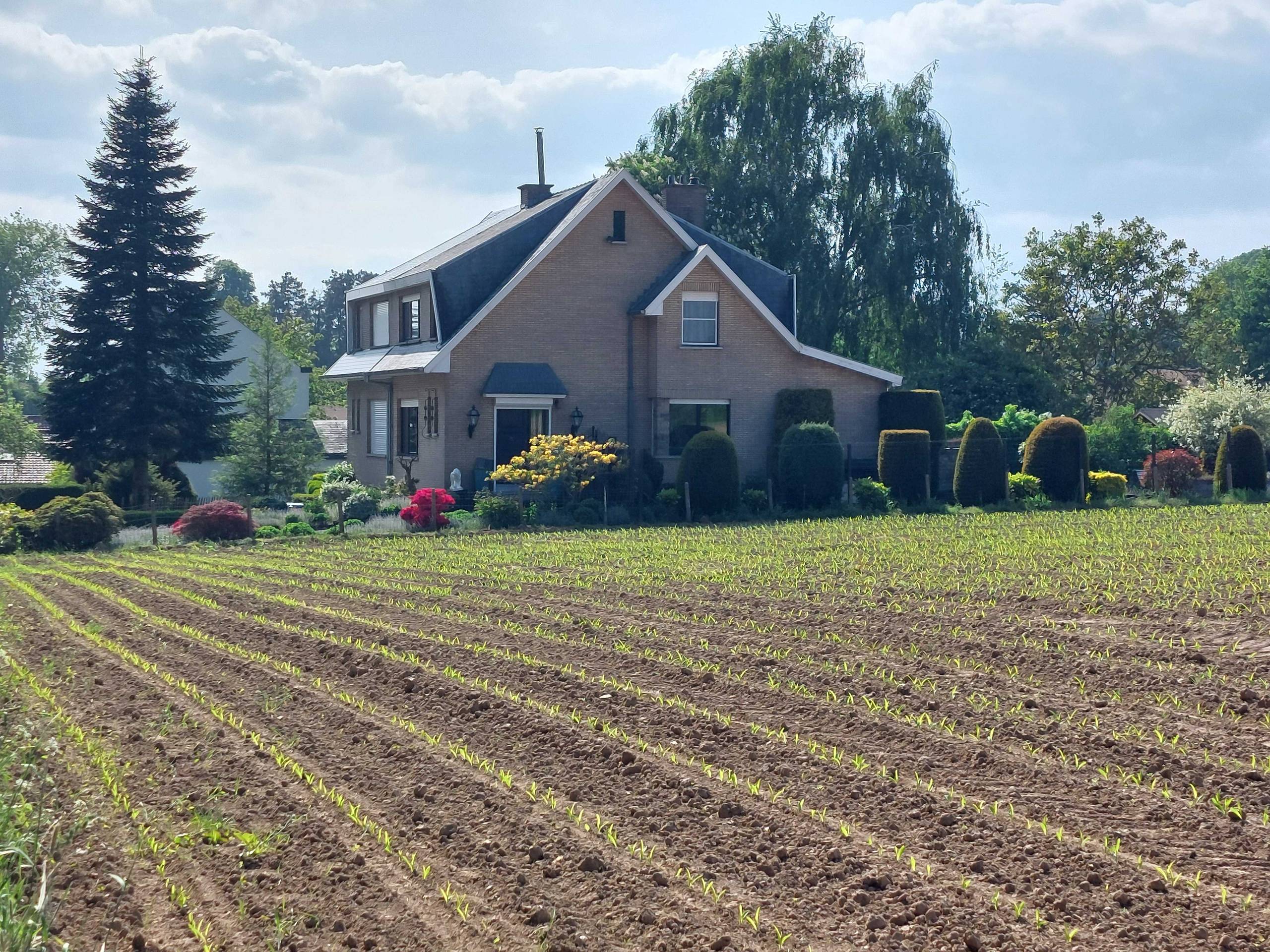 Huis te koop in Meise met 3 slaapkamers - foto 3