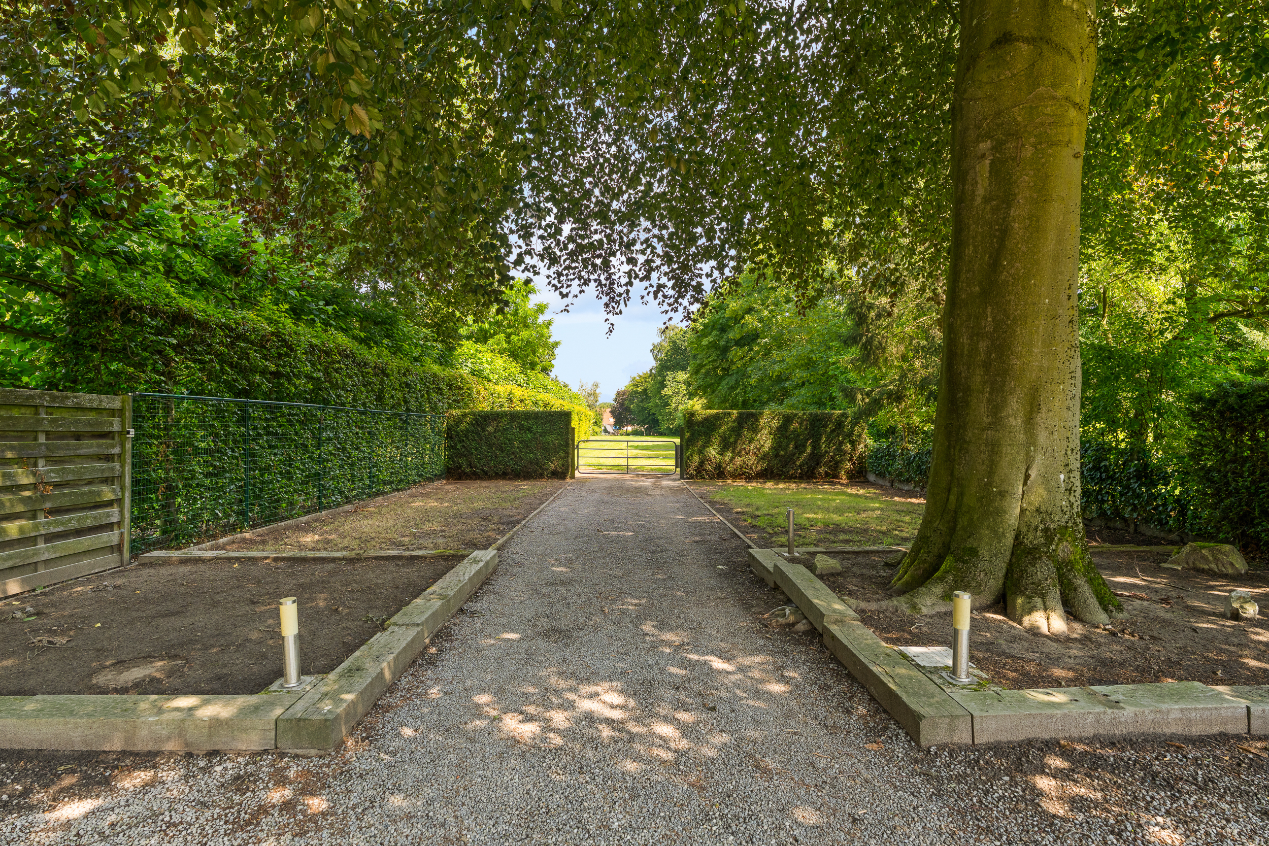 Gerenoveerde woning + achterliggend perceel ( 3.359 m²) - foto 4