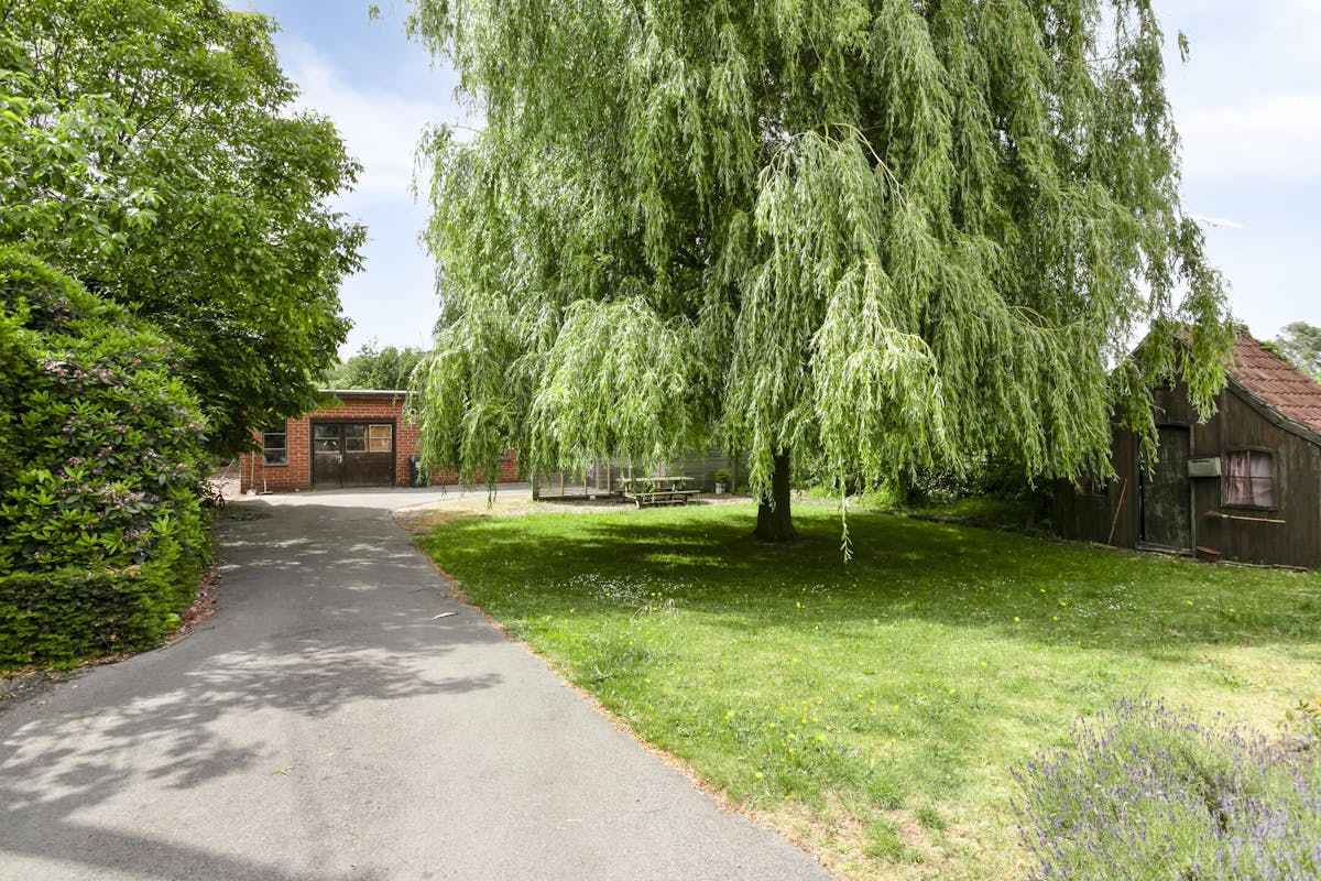 Alleenstaand huis met 5 kamers en atelier te koop in Waregem - foto 3