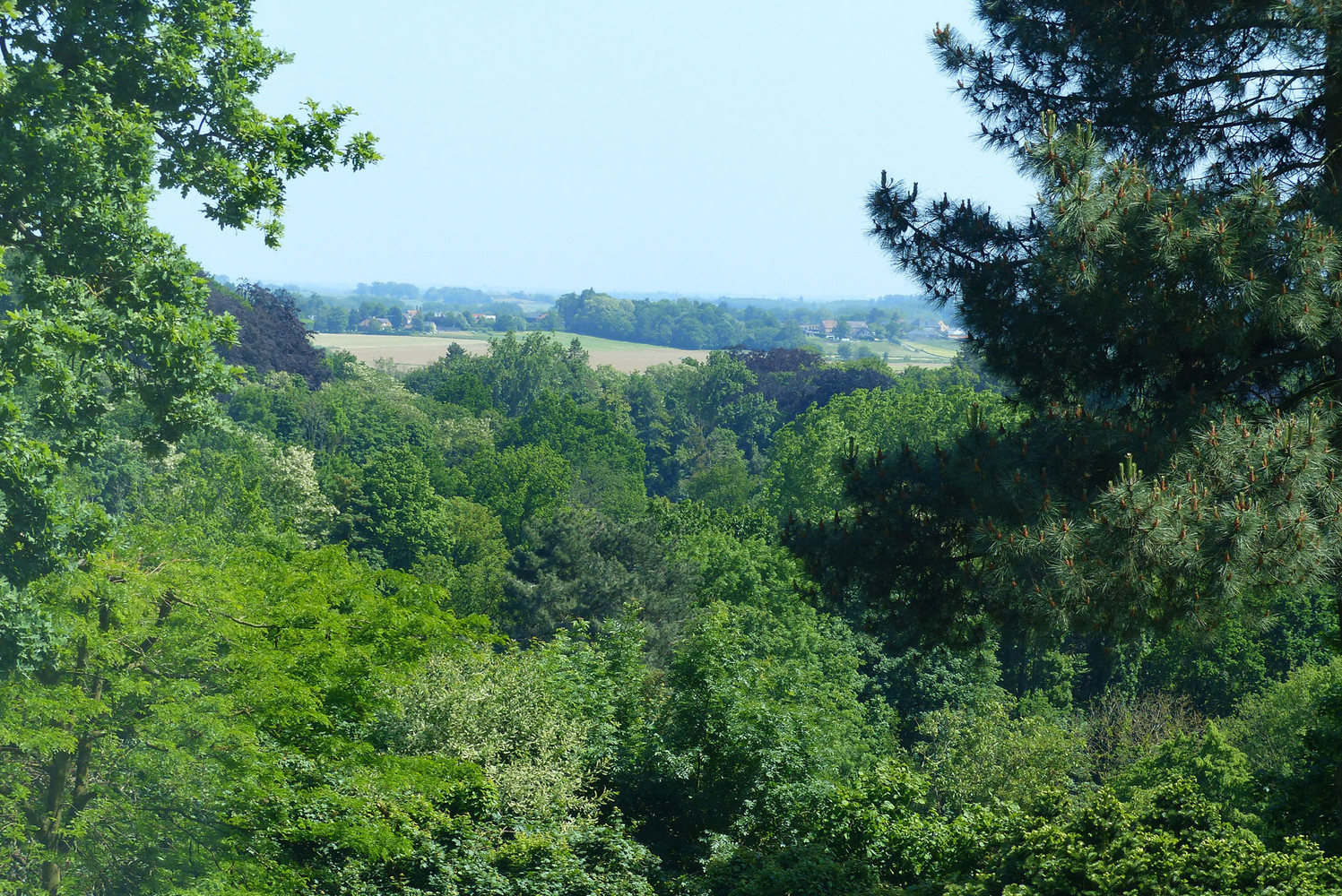TOPKLASSE villa op 1,05 hectare, zeer rustig op hoogste punt van het Hageland - foto 4