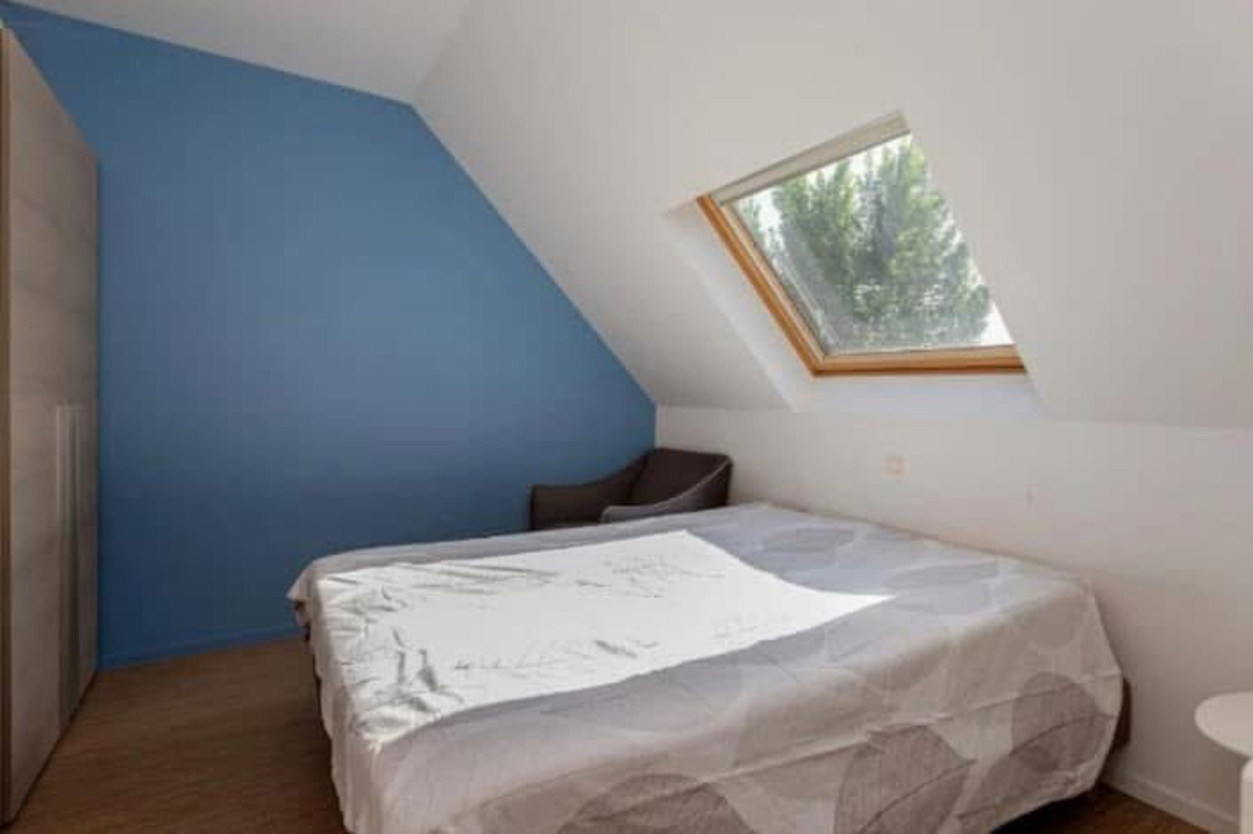 Prachtige studio met aparte slaapkamer en badkamer - foto 5