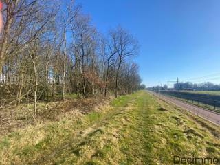 Land for sale in Balen
