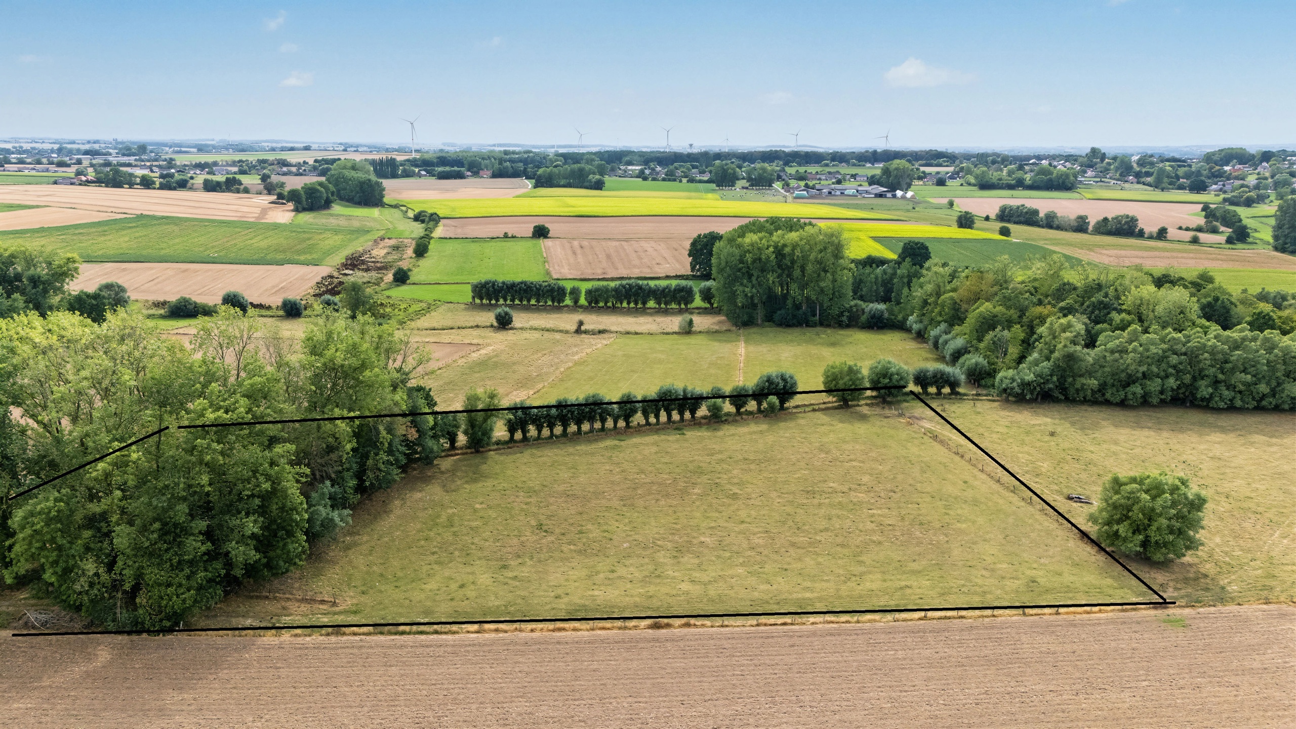 Te koop weide met aanpalend bosje - foto 2