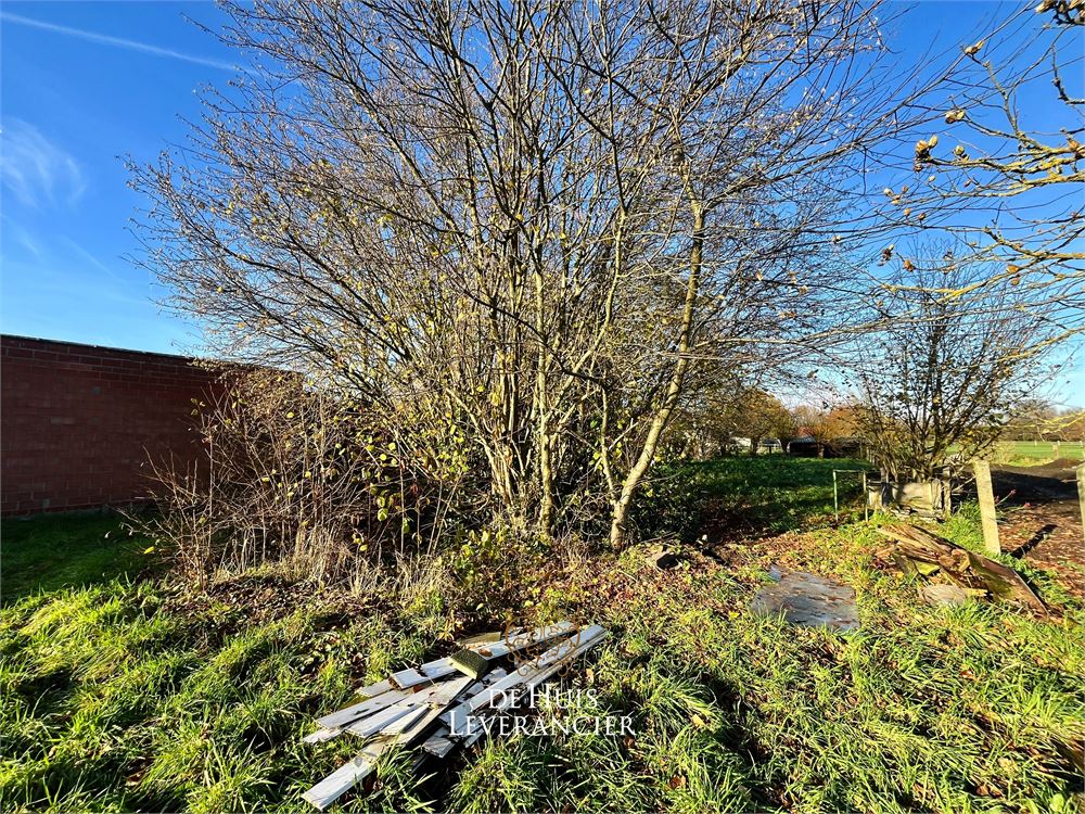 Bouwgrond (1.319m2) voor open bebouwing te koop in Duffel - foto 4