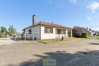 <strong>KNAPPE GROTENDEELS GERENOVEERDE EENGEZINSWONING MET EEN HEERLIJK LICHTRIJKE WOONKAMER MET OPEN KEUKEN, AANSLUITEND VERANDA MET ZICHT OP DE ZEER RUIME TUIN (+-2698M²!), 3 SLAAPKAMERS, RUIMTELIJKE BADKAMER VOORZIEN VAN BAD EN INLOOPDOUCHE EN DE WONING IS VOLLEDIG ONDERKELDERD! EEN HEERLIJK RUIME BUNGALOW DIE NOG VOLLEDIG NAAR EIGEN SMAAK AFGEWERKT KAN WORDEN! Een aangename woning met een bewoonbare oppervlakte van +- 185m² op een perceel van +- 26are98ca (2698m²) op een rustige locatie! Tevens is de woning centraal gelegen t.o.v. het centrum van Peer, Meeuwen (Oudsbergen) en Houthalen-Helchteren en kan men vlot gebruik maken van de Noord-Zuidverbinding (A24).</strong><br /><br /><strong>Ligging:</strong><br />Het perceel is gelegen langs de Meeuwerbaan, Wauberg (onderdeel van Stad Peer). Het heeft een gunstige locatie richting de Noord-Zuid verbinding en heeft opening naar autosnelweg E314 via Houthalen-Helchteren. Overigens kan men gebruik maken van de faciliteiten die de gemoedelijke dorpskern van Wauberg te bieden heeft.<br /><br /><strong>INDELING: </strong><br /><strong>Gelijkvloerse verdieping: </strong><br />- Inkomhal met aansluitend nachthal – ruime lichtrijke woonkamer met open haard – open keuken met aangrenzend zeer ruime veranda – slaapkamer 1 – slaapkamer 2 – slaapkamer 3 – badkamer voorzien van ligbad en inloopdouche – toilet –<br /><br /><strong>Kelder</strong>:<br />- De woning is volledig onderkelderd en is voorzien van 2 sectionale poorten –<br /><br /><strong>Tuin:<br />- </strong>Zeer ruime tuin op een perceel van maar liefst +-26are98 centiare ( 2698m²)! – achteraan het perceel is er een loods/werkplaats voor diverse doeleinden –<br /><br /><strong>Bijzonderheden:</strong><br />- Uiterst ruim perceel van 26are98centiare (2698m²)!<br />- volledige woning is gelijkvloers (bungalow)<br />- Uitermate landelijk gelegen<br />- Gelegen in het rustige Wauberg, Peer<br />- EPC C – 235kWh/(m²jaar)<br />- elektrische rolluiken<br />- Ventilatiesysteem D (nog af te werken)<br />- Vloerverwarming<br />- Volledig onderkelderd<br />- Vliegenramen<br />- Correct geprijsd!!<br /><br /><strong>Stedenbouwkundige info: </strong><br />- Bouwvergunning - Landbouwgebied - Geen dagvaarding – Geen voorkooprecht – Geen verkavelingsvergunning -<br /><br /><strong>EPC: </strong>235kWh/m² - <strong>certificaatcode:</strong> 20260106-0003770084-RES-1<br /><br /><strong>O-peil: </strong>niet overstromingsgevoelig<br />P-Score: A<br />G-Score: A<br /><br /><strong>Benieuwd naar deze woning?<br />Wenst U advies omtrent uw eigen woning? Graag plannen wij vrijblijvend met U een afspraak in om onze expertise met U te delen, steeds tot Uw dienst!!<br />Neem contact op met IDEALIS VASTGOED op 011/515 565 of mail naar info@idealisvastgoed.be!</strong><br /> 