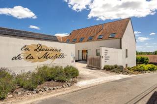 Maison à vendre à Ellezelles