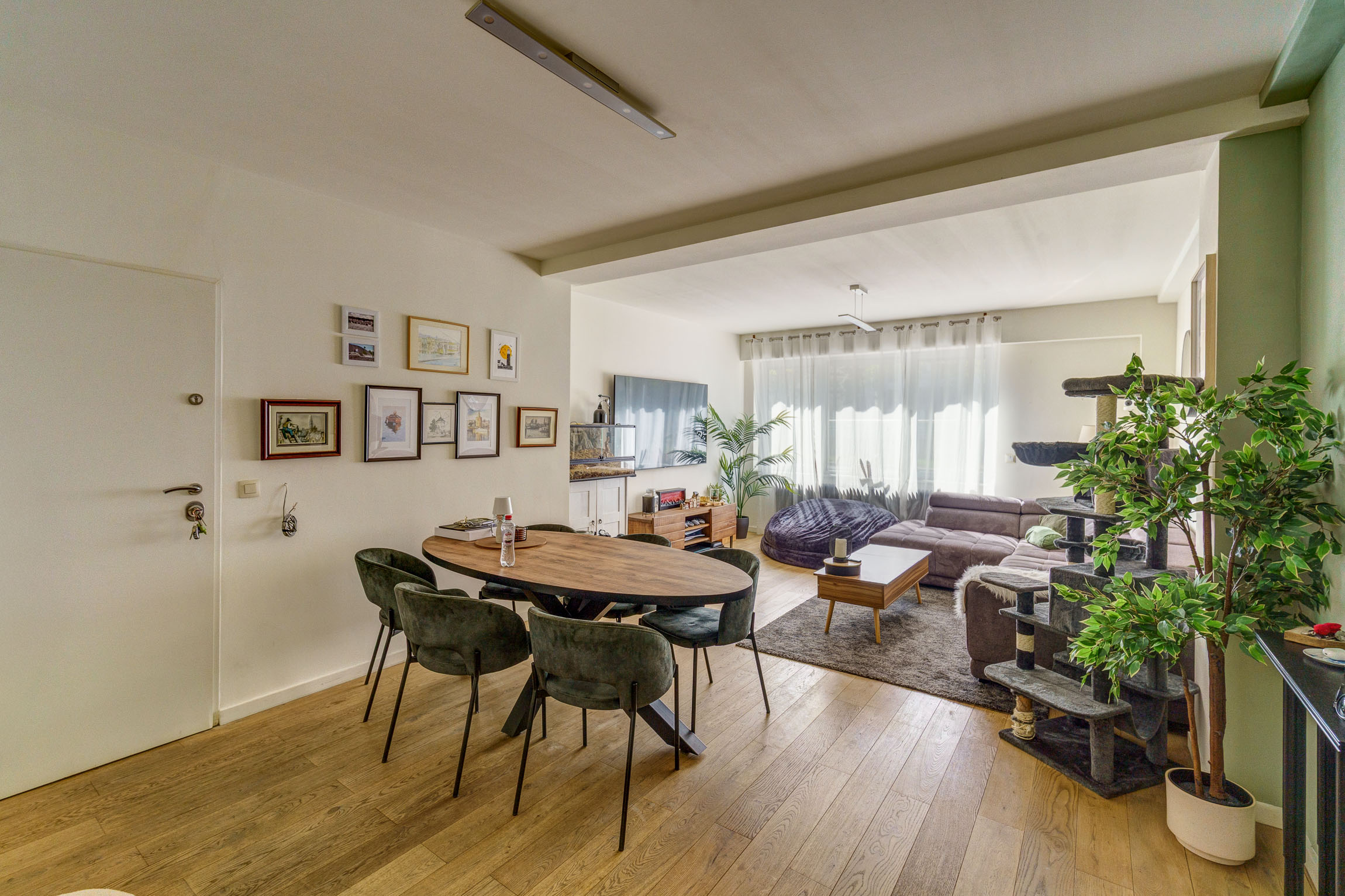 Gelijkvloers én instapklaar appartement in hartje Antwerpen - foto 1