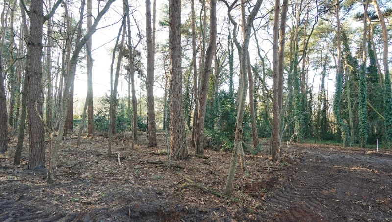 Residentieel gelegen bouwgrond van 31 are met 37 are bosgrond nabij golf- en meerdomein - foto 2