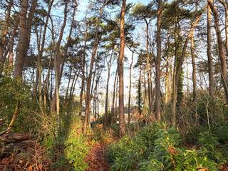 Terrain à vendre à Zoersel