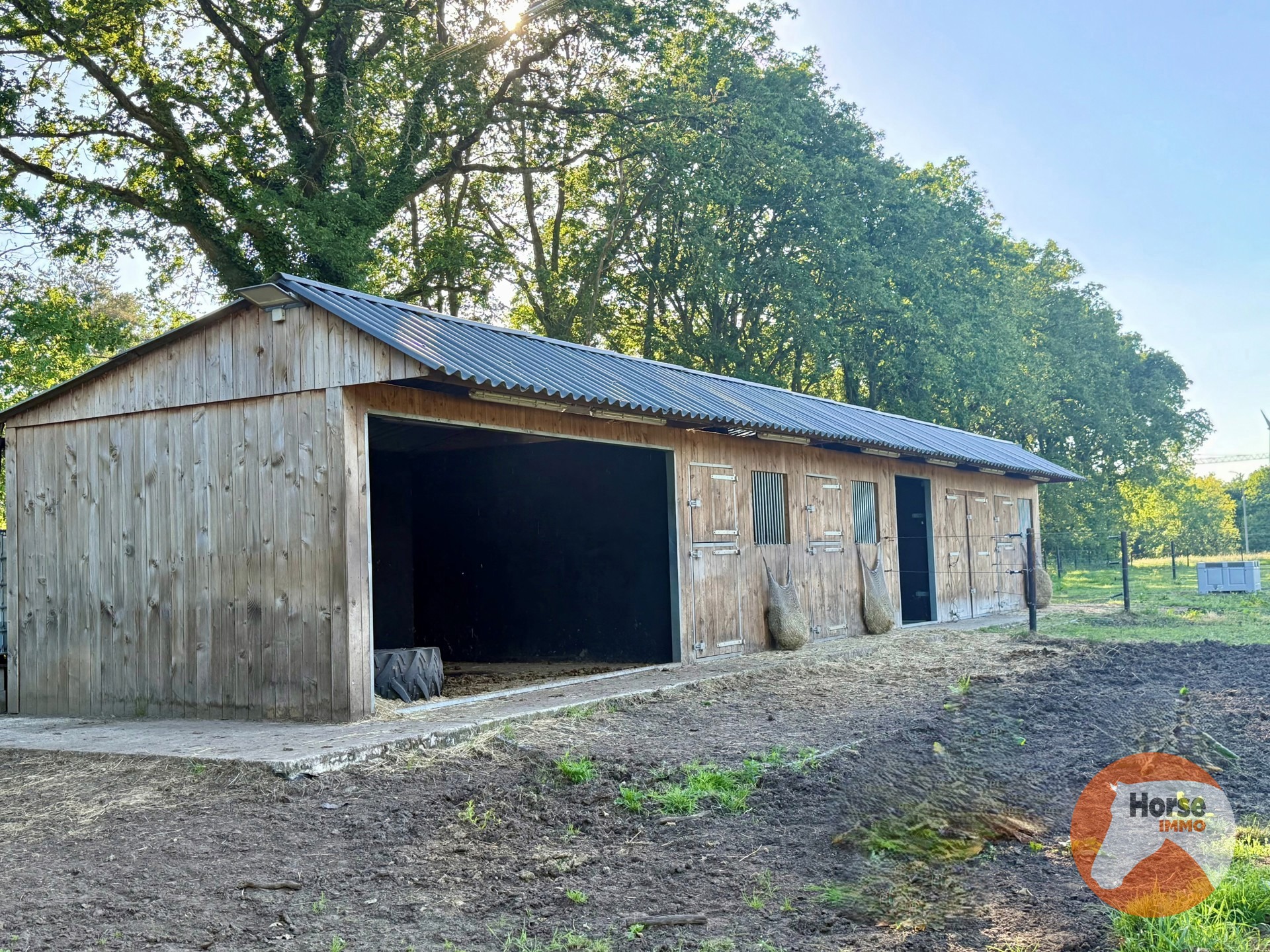 PAAL - Instapklare woning met mooie tuin (19a) en weiland (1ha47) - foto 5