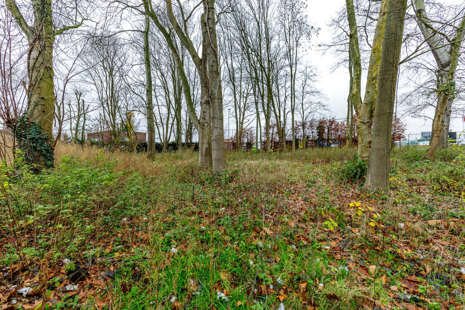 Land for sale in Dikkelvenne - photo 4