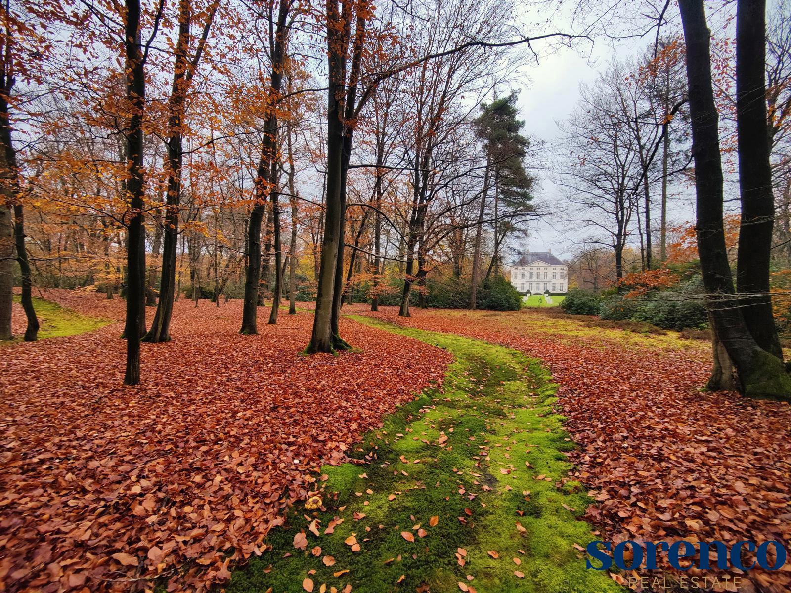 Magnifiek geklasseerd kasteel op een parkdomein van ca. 15 hectare met koetshuis, vijvers, parking en aangelegde parktuin  - foto 5