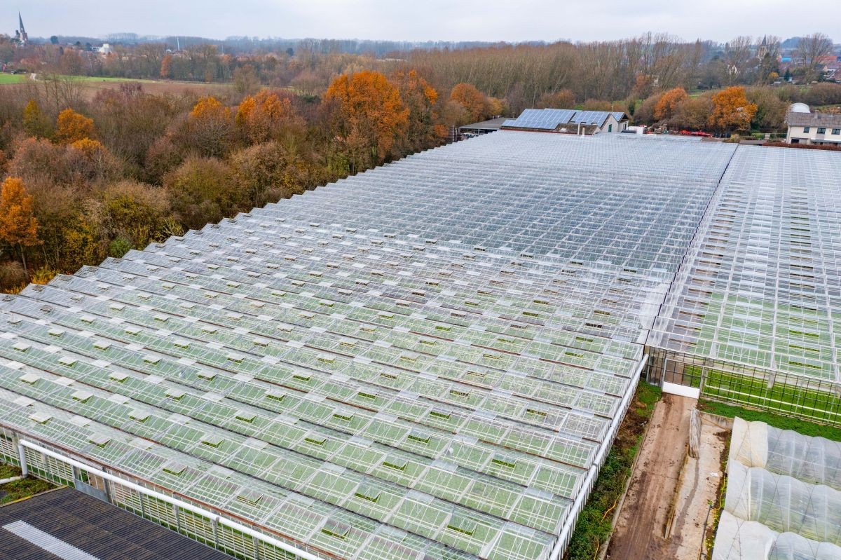 Groot serrebedrijf te koop te Lennik - photo 5