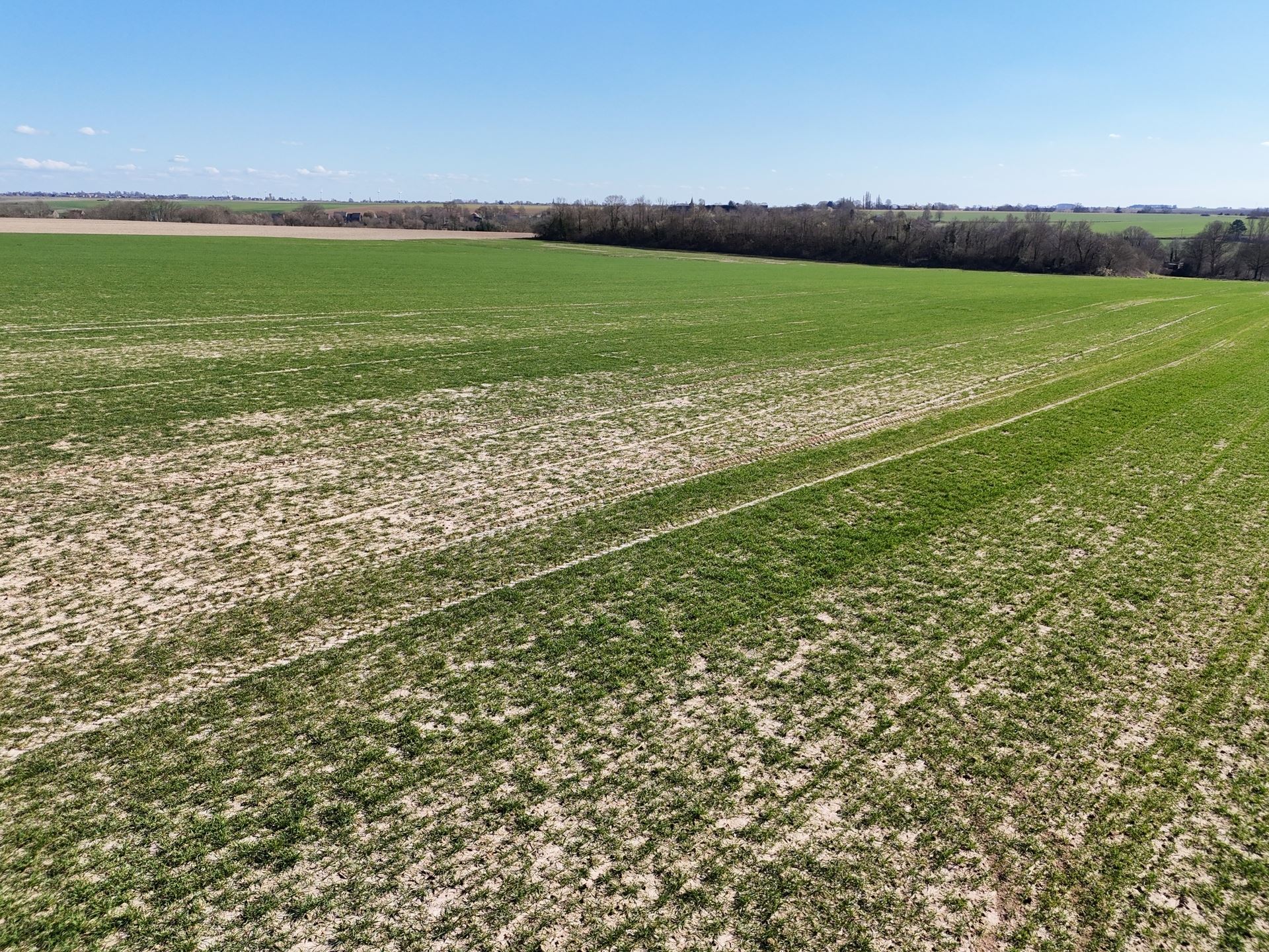 Groot perceel landbouwgrond - BLOK A - foto 4