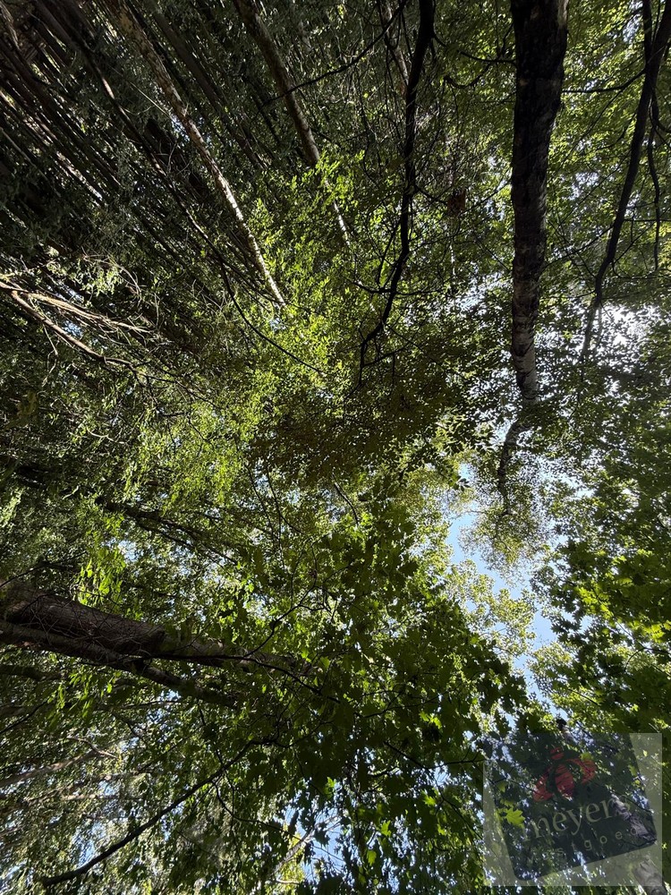 Land for sale in Houthalen-Helchteren - photo 4