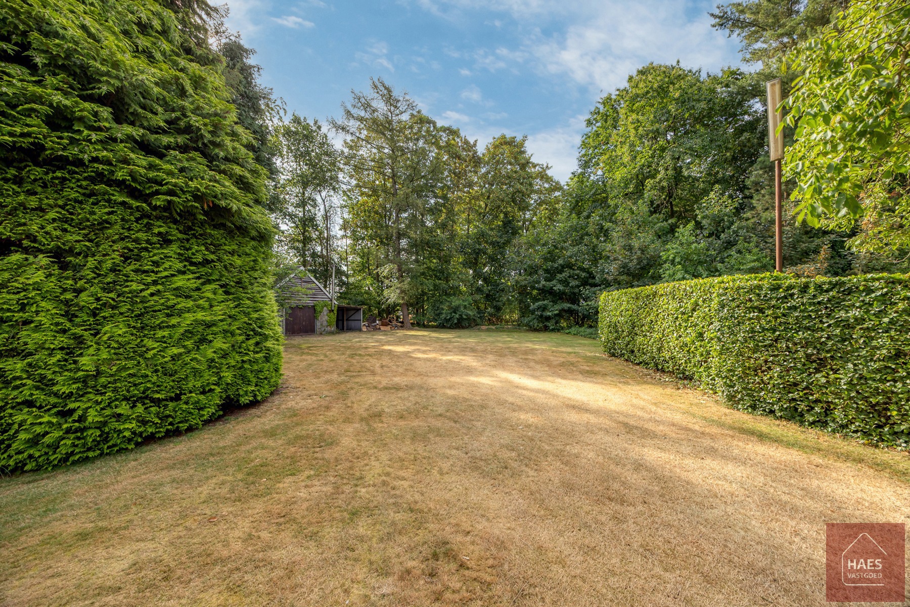 Charmante laagbouwvilla op uitzonderlijk perceel van 3.738 m² - foto 4