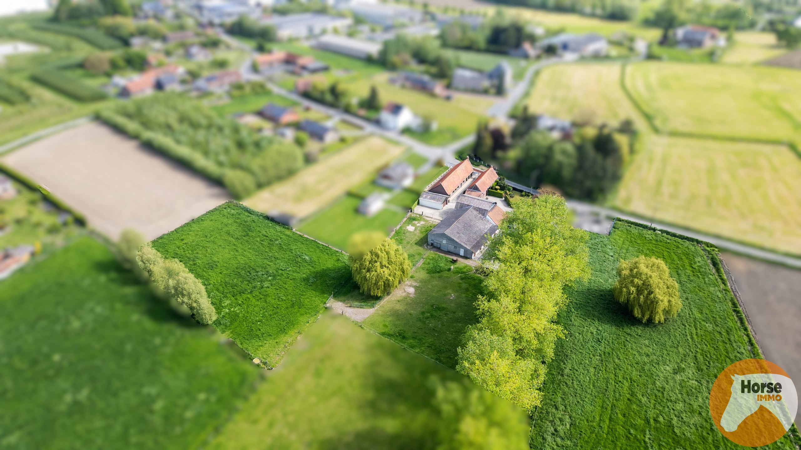 RONSE - Charmante hoeve op 1,16 ha met bijgebouw - foto 3