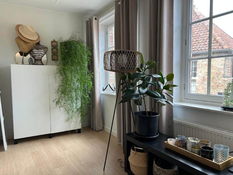 Comfortabele Bel-etage woning met 3 slaapkamers, GARAGE en STADSTERRAS te huur in Brugge - foto 5