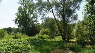 Perceel bouwgrond van 8 are 50 ca voor open bebouwing met mooi achterzicht op groene omgeving. <br />West georiënteerd.<br />Gunstig gelegen vlakbij en op wandelafstand van centrum en scholen.<br />Perceelbreedte circa 15m.<br />Perceelsdiepte: circa 60m.<br />Bouwbreedte: 9m maximum - bouwdiepte: gelijkvloers 15m maximum en 12m maximum op verdieping.<br />Dakhelling tussen 0° plat dak en 45° hellend dak.<br />Kroonlijsthoogte: 6m50 maximum bij plat dak en 6m maximum bij hellend dak. <br />Geen bouwverplichting. <br />Opmetingskosten ten laste van kopers 1.800 euro.<br />Stedenbouwkundige vastgoedinformatie in aanvraag (woongebied en na 50m landschappelijk waardvol agrarisch gebied - geen maatregelen in het Vlaams handhavingsplatform).<br />Geen risicozone voor overstromingen - perceelscore C en achteraan op het perceel D fluviaal.