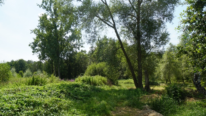Bouwgrond 8 are 50 ca voor open bebouwing vlakbij centrum en met mooi achterzicht op groene omgeving - photo 2