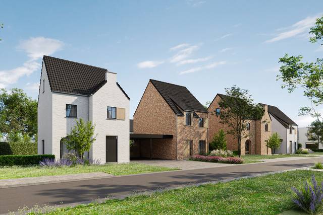 Project te koop in Dilsen-Stokkem