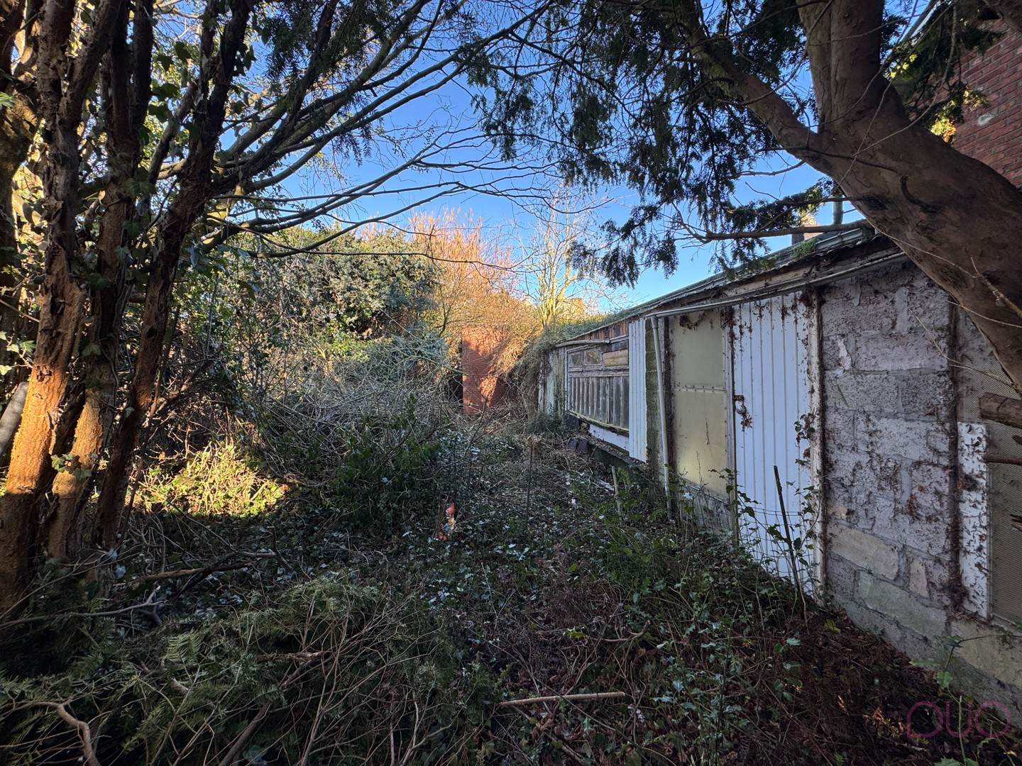 Totaal te renoveren woning op ruim perceel grond met mooi uitzicht - foto 3