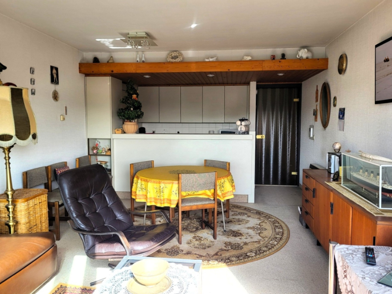 Lichtrijke studio met terras en slaaphoek te koop - foto 4