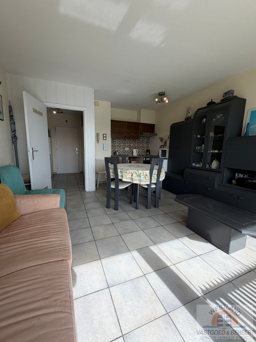 Ruime studio met zicht op de duinen - foto 4