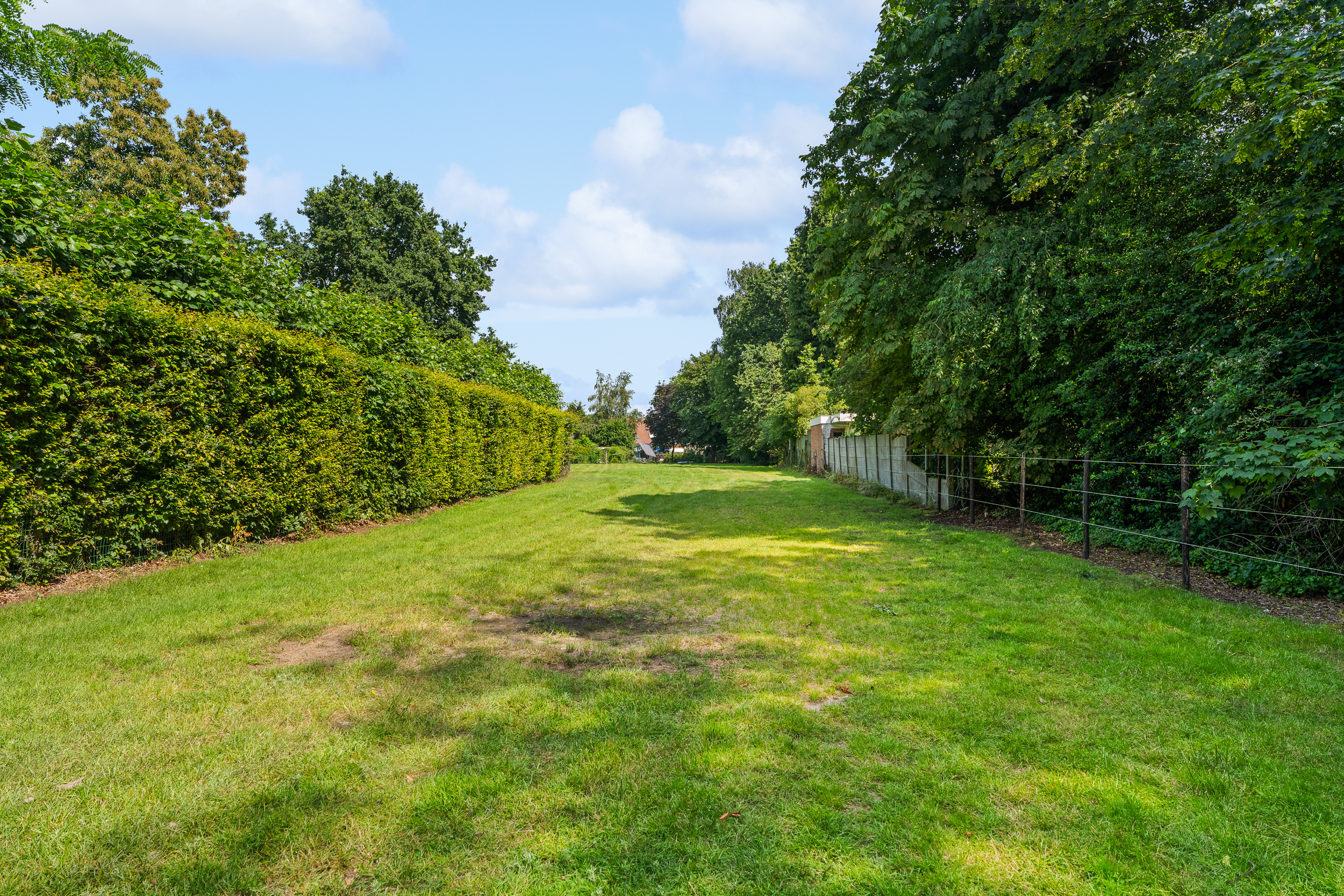 Gerenoveerde woning + achterliggend perceel ( 3.359 m²) - foto 5