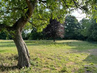 Wenst u rustig wakker te worden met een altijd blijvend (!) landschappelijk open agrarisch zicht op natuur? Dan is dit iets voor u! In deze woningen heeft de architect rekening gehouden met zowel de prachtige zichten alsook heel veel lichtinval waardoor deze woning aangenaam geïntegreerd is in zijn omgeving. Dit alles is bovendien gelegen op een boogscheut van het centrum van het gezellige landelijke Berlare, in een straat met zo goed als geen verkeer, nabij de velden, alle winkels, scholen, sport-, jeugdbeweging, openbaar vervoer, enz... <br />Hier is gekozen voor een ruime woning in een landelijke bouwstijl voorzien van een leefruimte van maar liefst 53m², een extra bureau (of gelijkvloerse slaapkamer), + 3 grote slaapkamers (4.7m x 3.3m ), 2 aparte toiletten, een badkamer voorzien van een ligbad / inloopdouche met vaste muur / een vrije muur van 3,7 meter voor een dubbele lavabo en/of extra kastruimte. Daarnaast is er nog een 2de vaste trap naar de “zolder” van 23,30m² groot waar u indien gewenst kan overgaan naar 4 tot zelfs 5 slaapkamers. Verder is het mogelijk op het perceel een carport aan te vragen.<br />Dit alles zal gebouwd worden op een bouwperceel met een diepte van 50 meter, door ervaren vakmensen, met de nieuwste technologieën, vloerkoeling & verwarming, ventilatiesysteem type C+ en dit alles afgewerkt met hoogwaardige materialen. Kortom bel of mail vandaag nog voor uw afspraak naar info@rosiersderidder.be of 052/41.41.94<br />referentie: 5452