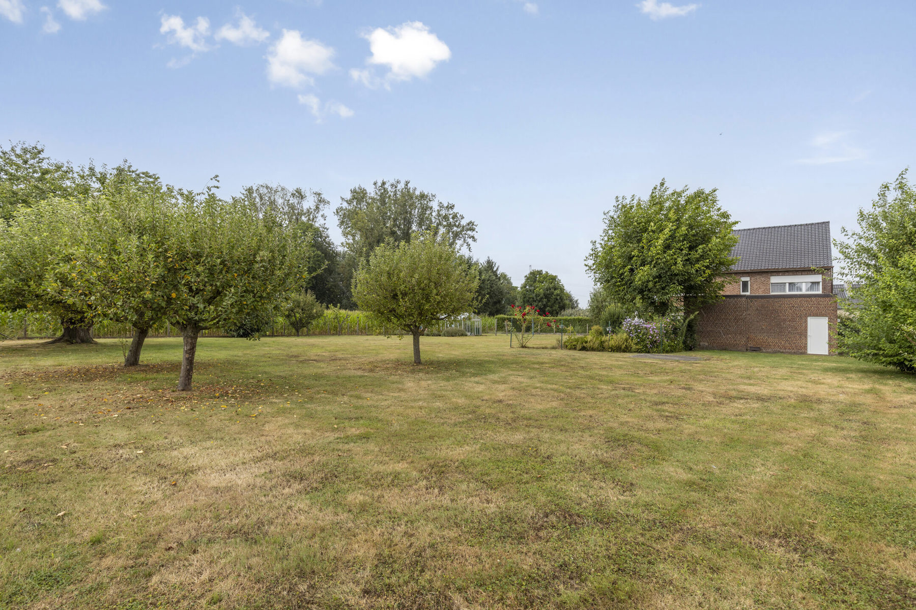 House for sale in Dilbeek with 4 bedrooms - photo 5